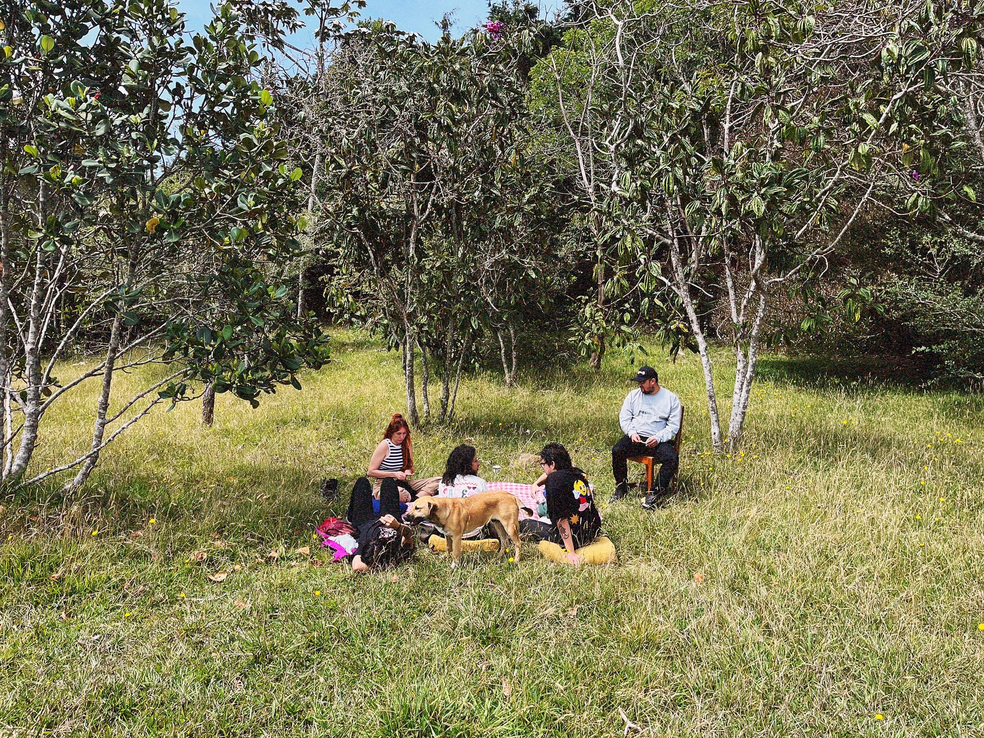 Residentes conversan sentados en el pasto bajo los árboles del bosque de Coocine